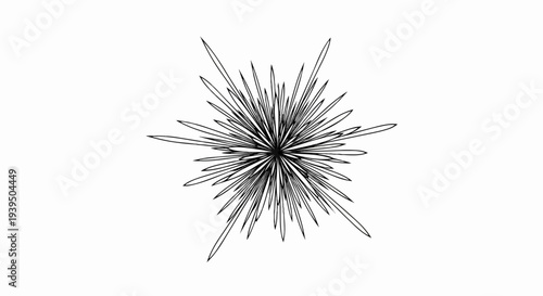 Abstract radial burst pattern with sharp, pointed, leaf-like elements