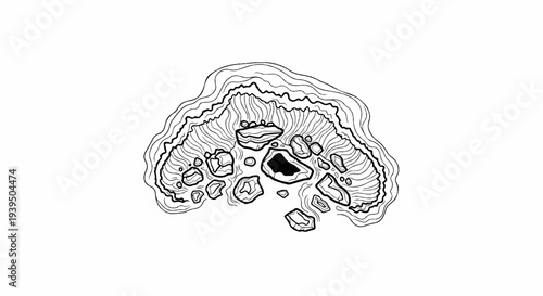 Abstract cross-section of layered rock formation with crystalline interior and outer contour