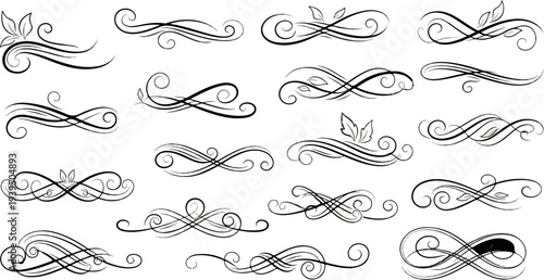 Collection of decorative black ink ornamental swirls with floral elements