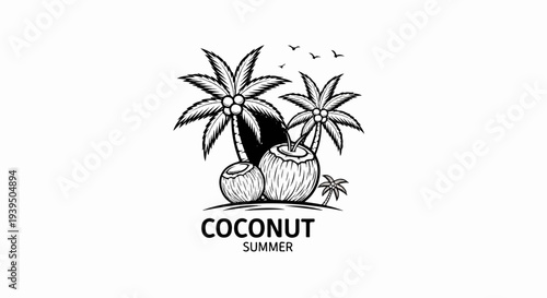 Black and white drawing of coconuts and palm trees on a white background