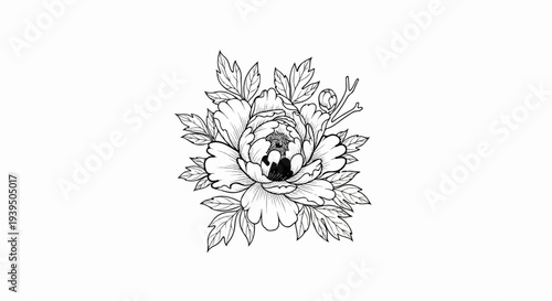 Detailed black and white line art of a peony flower with leaves