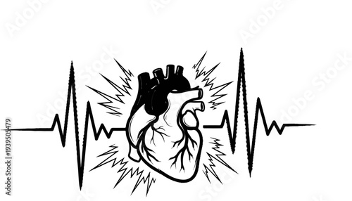 Black and white illustration of a human heart with a heartbeat graph