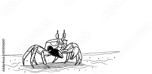 Detailed ink drawing of a crab on a sandy beach with wavy lines