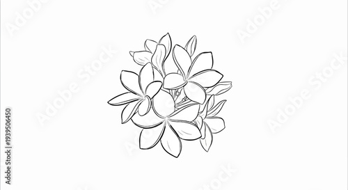 Hand-drawn sketch of a cluster of blooming flowers on a white background