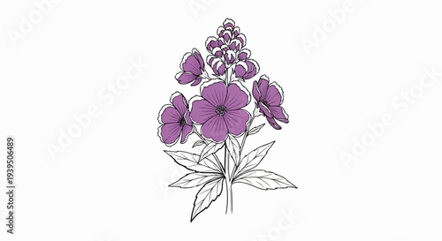 Hand-drawn purple flowers with a spike-like cluster atop
