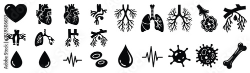 Large collection of black human internal organ anatomical icons including heart lungs trachea and blood for medical education and healthcare isolated on white background vector illustration set