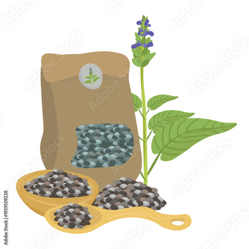 Vector illustration of chia seeds in a paper bag, wooden spoon, and bowl, with a flowering chia plant