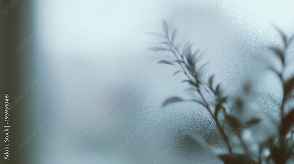 Obraz premium objects behind frosted glass, subtle blur, soft daylight, modern abstract design, minimal composition, artistic photography