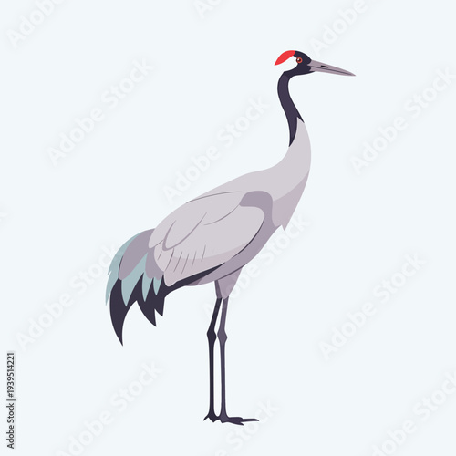 Crane Bird Standing