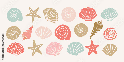 Collection of illustrated seashells and starfish on a neutral background