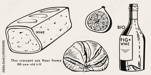 Sketch of cheese fig wine bottle and croissant on a beige background