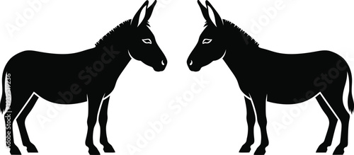 Two donkeys facing each other in a confrontational stance