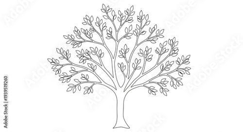 Detailed Illustration of a Large Deciduous Tree.