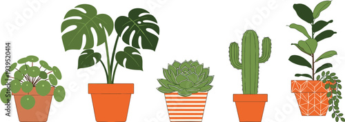 Indoor Houseplant Vector Set with Monstera Cactus Succulent and Ficus in Terracotta Pots for Home Decor and Urban Jungle Design