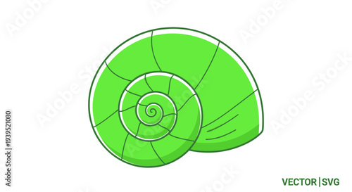 Green spiral seashell illustration, clean vector graphic, isolated on white background