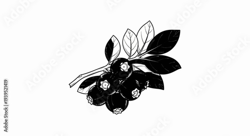 A simple black and white illustration of a cluster of ripe blueberries
