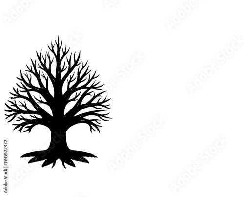 Silhouette of a bare tree with exposed roots on a white background