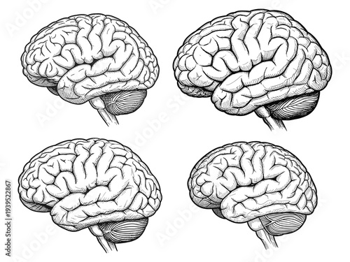 Brain sketch drawing vector