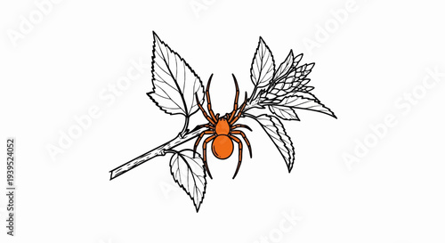 Orange spider on branch with leaves