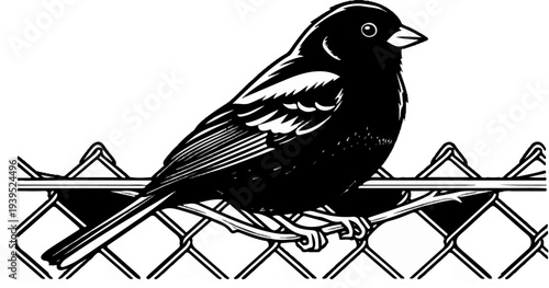 A small dark bird with detailed feathers perches on a wire fence