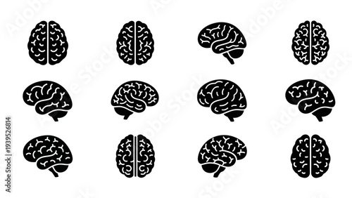 Human Brain Illustrations in Various Views.