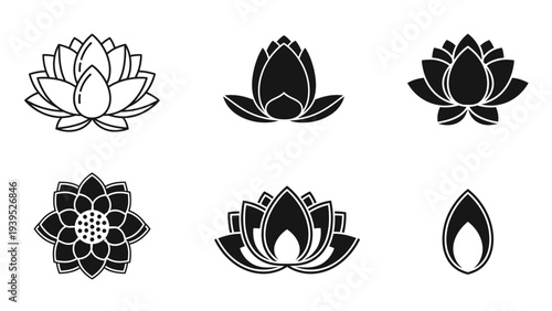 Lotus Flower Illustrations in Various Designs.