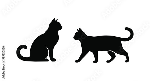 Two black cats facing each other a striking graphic silhouette