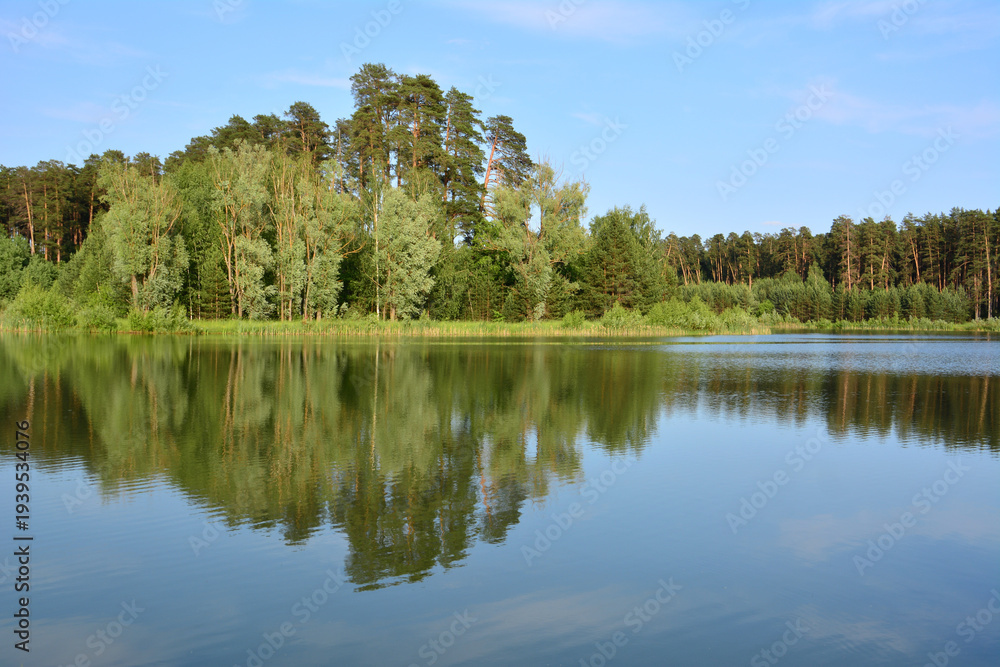 Fototapeta premium Serene Forest Lake with Clear Reflections in sunset copy space
