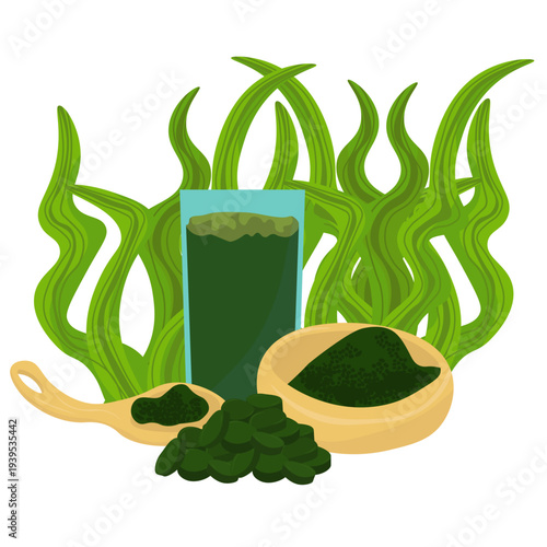 Vector illustration of spirulina superfood in various forms: green powder in a bowl and spoon, tablets, and a glass of smoothie with seaweed background