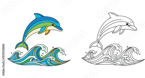 Vector illustration of a playful jumping dolphin over stylized ocean waves, featuring both a vibrant colored version and a black and white line art coloring book page design.