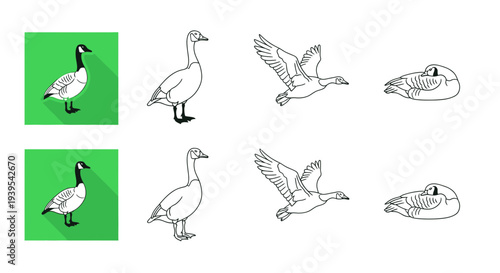 Set of Goose Icons: Standing, Flying, Sleeping, Flat Design
