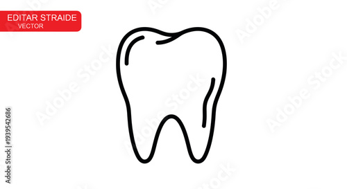 Simple line drawing of a human tooth icon, isolated on white background