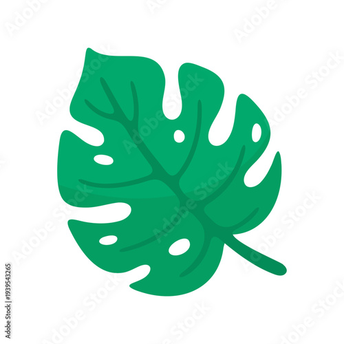 Vibrant Green Monstera Leaf Vector Illustration on White Background