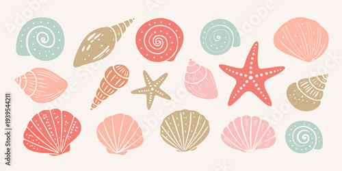 Collection of colorful seashells and starfish on a pale background