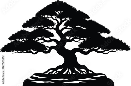 Black silhouette of a bonsai tree on a white background