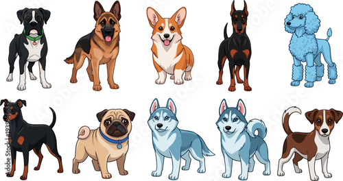 Cute dog breeds cartoon vector collection featuring german shepherd corgi doberman pug husky poodle terrier pet characters