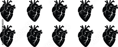 Human heart anatomy silhouette vector collection isolated on white background, medical organ illustration set for healthcare, biology, anatomy education design