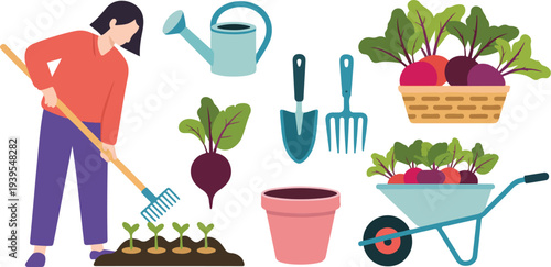 Person gardening with tools, a watering can, seedlings, radishes in a basket, and a wheelbarrow