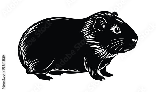 Black Guinea Pig Silhouette, Adorable Rodent Pet, Studio Portrait, Clean White Background
