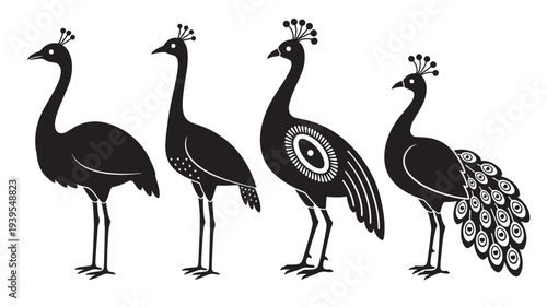 Four black silhouette peacocks with decorative patterned bodies and fanned tails stand against a white background.