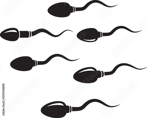 Sperm cells illustration in silhouette style