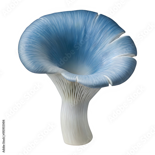 Blue Mushroom Isolated on Transparent White Background