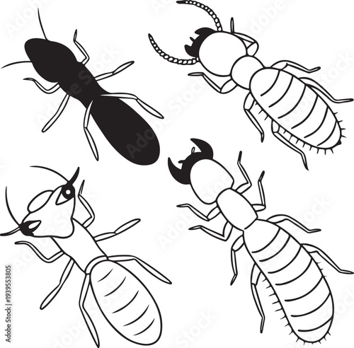 A collection of meticulously drawn termites in various positions and perspectives, ideal for educational or illustrative purposes.