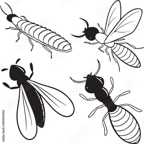 A detailed black and white illustration of various termite forms, showcasing the diverse stages of these insects in intricate detail.