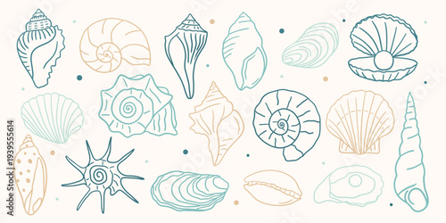Hand drawn seashell collection. Coastal ocean shell doodle set with conch, scallop, nautilus, oyster, clam and spiral shells. Minimal line art beach elements for summer design.