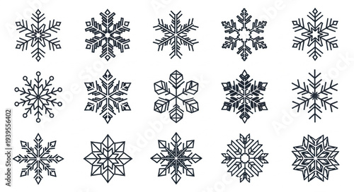 Collection of Various Snowflakes with Unique Patterns.