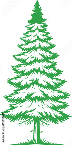 A vibrant green pine tree illustration against a plain white background