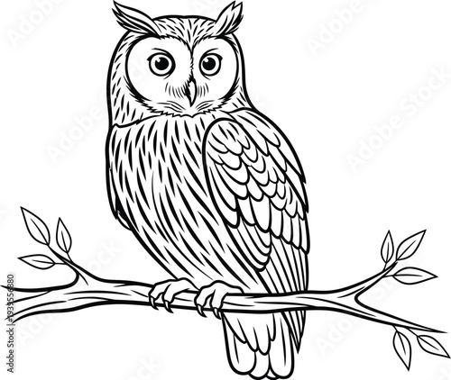 Detailed illustration of an owl perched on a leafy branch