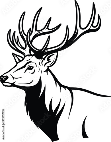 Detailed black and white illustration of a majestic stag s head
