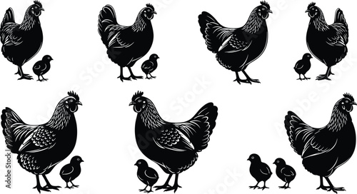 Hen and chick silhouettes collection, farm chicken mother with baby chicks isolated on white background poultry vector illustration set